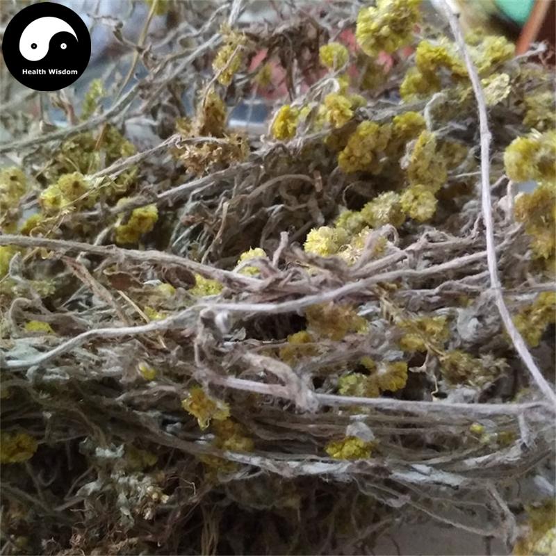 Shu Qu Cao 鼠曲草, Herba Gnaphalii Hypoleuci, Cudweed, Qing Ming Cai, Tian Ai-Health Wisdom™