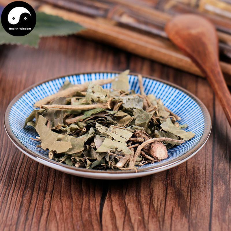 Shu San Jiao Feng 树三角枫, Acer Paxii Franch-Health Wisdom™