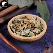 Shu San Jiao Feng 树三角枫, Acer Paxii Franch-Health Wisdom™