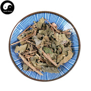 Shu San Jiao Feng 树三角枫, Acer Paxii Franch-Health Wisdom™