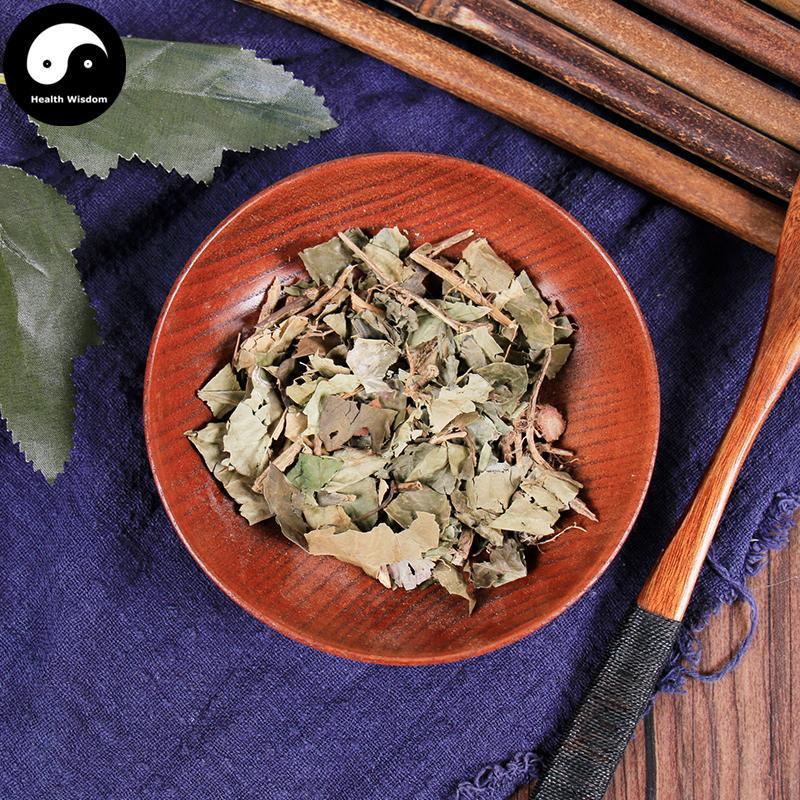 Shu San Jiao Feng 树三角枫, Acer Paxii Franch-Health Wisdom™