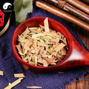 Shui Cong 水葱, Tabernaemontanus Bulrush, Schoenoplectus Tabermaemontani, Guan Pu-Health Wisdom™