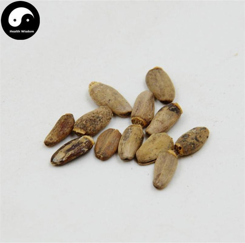 Shui Fei Ji 水飛薊, Fructus Silybi, Nai Ji-Health Wisdom™
