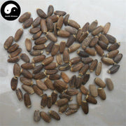Shui Fei Ji 水飛薊, Fructus Silybi, Nai Ji-Health Wisdom™