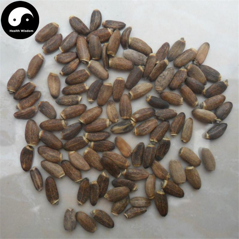 Shui Fei Ji 水飛薊, Fructus Silybi, Nai Ji-Health Wisdom™