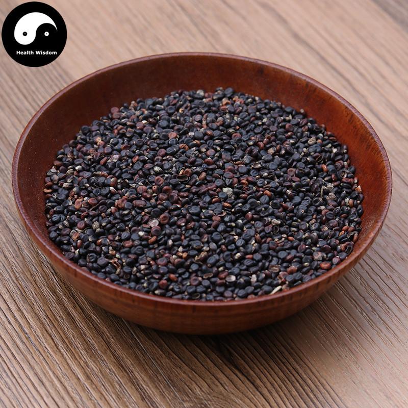 Shui Hong Hua Zi 水紅花子, Fructus Polygoni Orientalis, Prince’s-Feather Fruit-Health Wisdom™