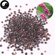 Shui Hong Hua Zi 水紅花子, Fructus Polygoni Orientalis, Prince’s-Feather Fruit-Health Wisdom™