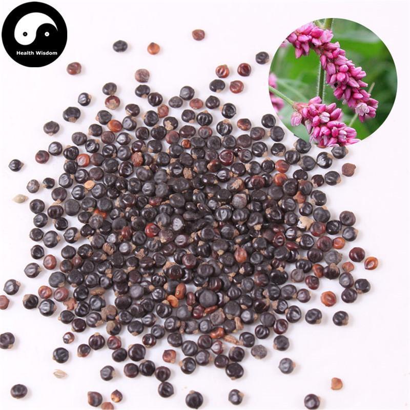 Shui Hong Hua Zi 水紅花子, Fructus Polygoni Orientalis, Prince’s-Feather Fruit-Health Wisdom™