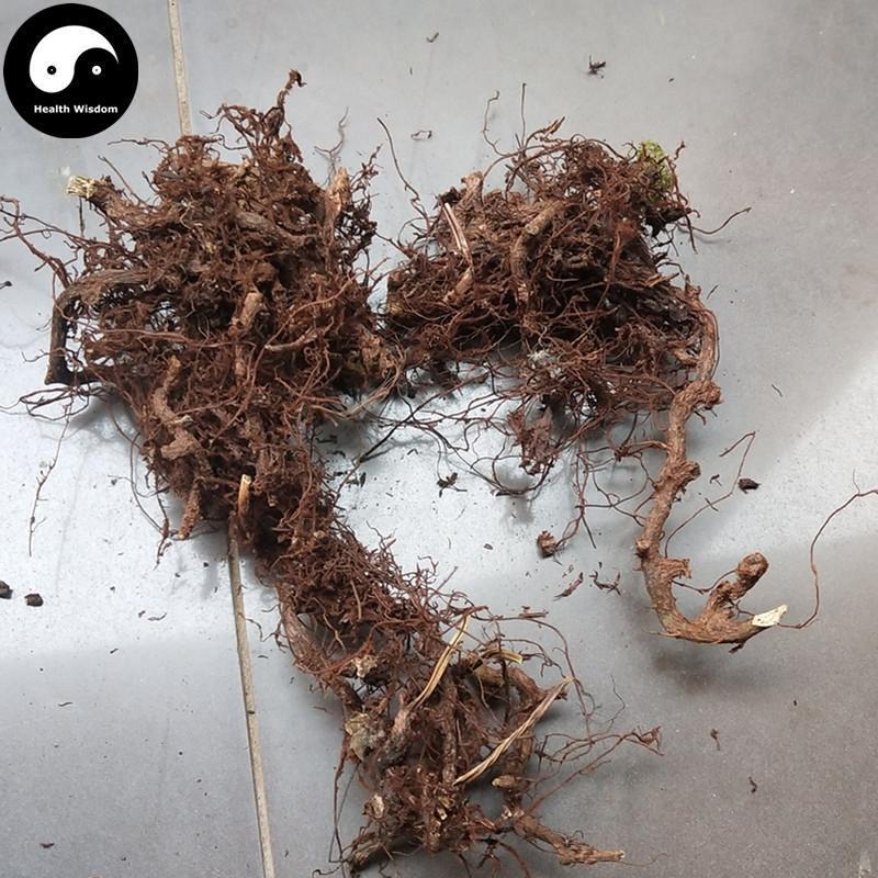 Shui Long Gu 水龙骨, Japanese Polypody Rhizome, Shi Can-Health Wisdom™