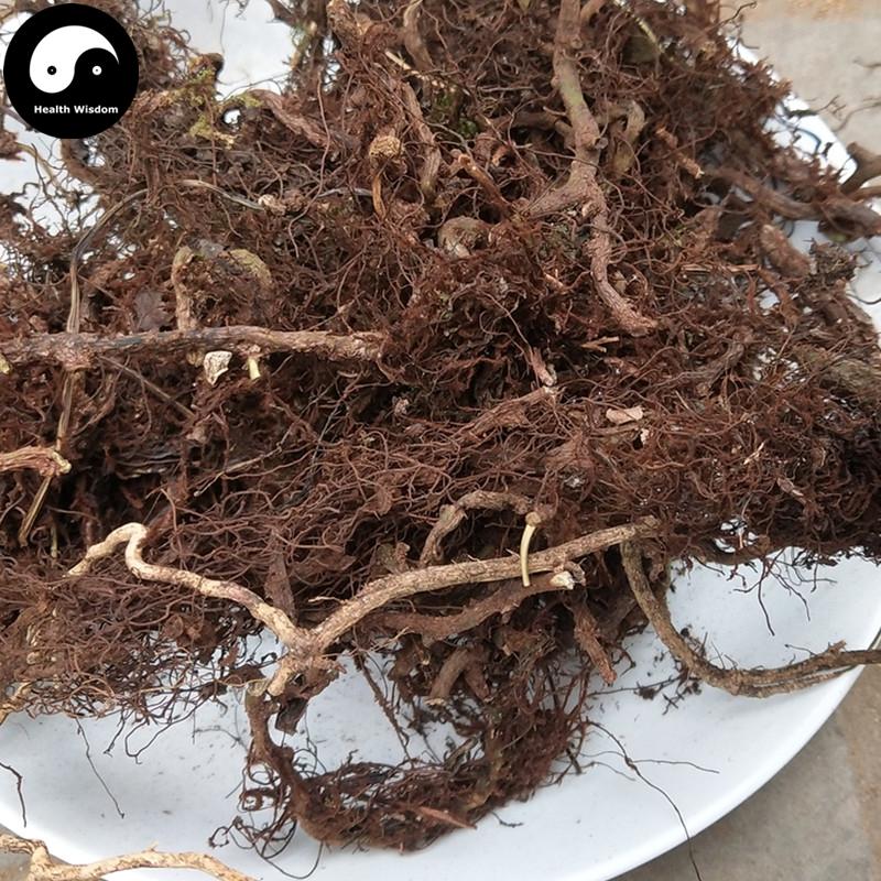 Shui Long Gu 水龙骨, Japanese Polypody Rhizome, Shi Can-Health Wisdom™