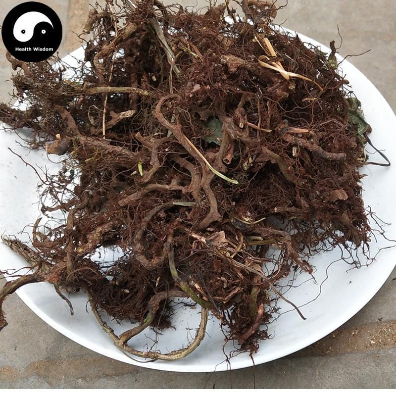 Shui Long Gu 水龙骨, Japanese Polypody Rhizome, Shi Can-Health Wisdom™