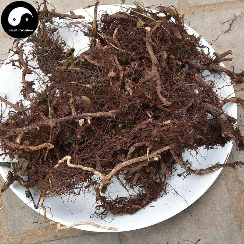 Shui Long Gu 水龙骨, Japanese Polypody Rhizome, Shi Can-Health Wisdom™