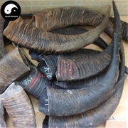 Shui Niu Jiao 水牛角, Cornu Bubali, Water Buffalo Horn-Health Wisdom™