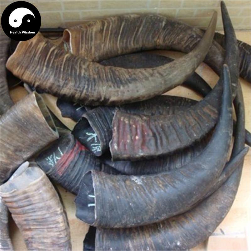 Shui Niu Jiao 水牛角, Cornu Bubali, Water Buffalo Horn-Health Wisdom™