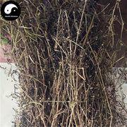 Shui Xian Cao 水線草, Corymbose Hedyotis Herb, Herba Hedyotidis Corymbosae-Health Wisdom™
