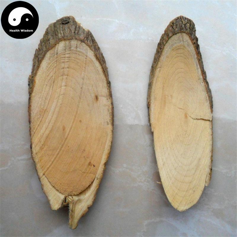 Shui Yang Mei Gen 水楊梅根, Japanese Avens Root, Adina Rubella-Health Wisdom™