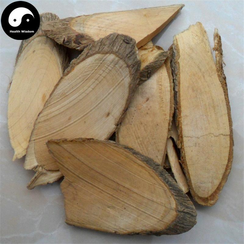 Shui Yang Mei Gen 水楊梅根, Japanese Avens Root, Adina Rubella-Health Wisdom™