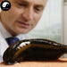Shui Zhi Pian 水蛭, Hirudin Pills, Herbal Leeches, Hirudo Medicinalis