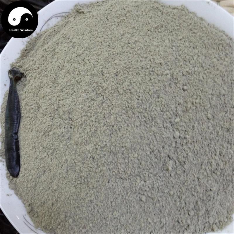 Shui Zhi Pian 水蛭, Hirudin Pills, Medicinal Leeches, Hirudo Medicinalis-Health Wisdom™