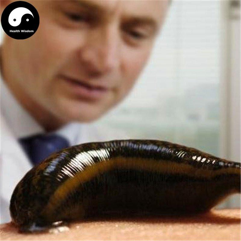 Shui Zhi Pian 水蛭, Hirudin Pills, Medicinal Leeches, Hirudo Medicinalis-Health Wisdom™