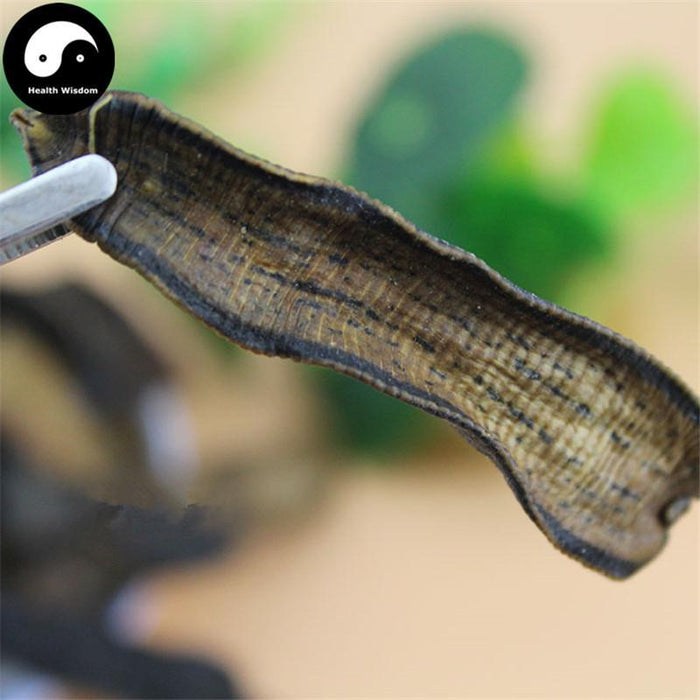 Shui Zhi 水蛭, Dried Hirudin, Herbal Leeches, Hirudo Medicinalis