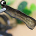 Shui Zhi 水蛭, Dried Hirudin, Herbal Leeches, Hirudo Medicinalis