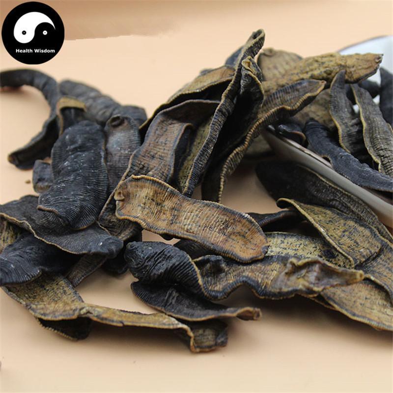 Shui Zhi 水蛭, Dried Hirudin, Medicinal Leeches, Hirudo Medicinalis-Health Wisdom™