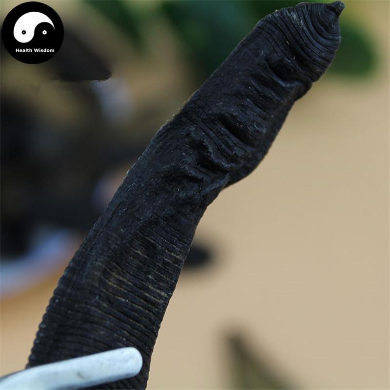 Shui Zhi 水蛭, Dried Hirudin, Medicinal Leeches, Hirudo Medicinalis-Health Wisdom™