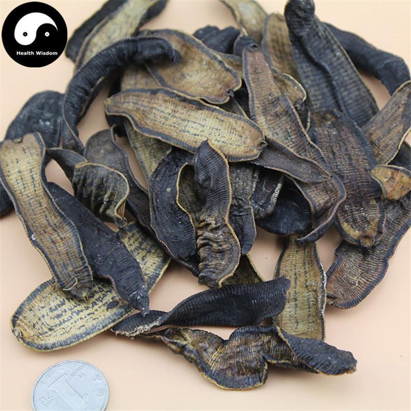 Shui Zhi 水蛭, Dried Hirudin, Medicinal Leeches, Hirudo Medicinalis-Health Wisdom™