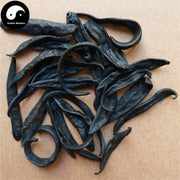 Shui Zhi 水蛭, Dried Hirudin, Medicinal Leeches, Wild Hirudo, Ma Huang-Health Wisdom™
