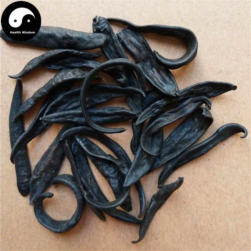 Shui Zhi 水蛭, Dried Hirudin, Medicinal Leeches, Wild Hirudo, Ma Huang-Health Wisdom™