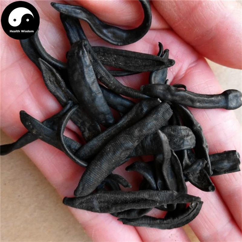 Shui Zhi 水蛭, Dried Hirudin, Medicinal Leeches, Wild Hirudo, Ma Huang-Health Wisdom™