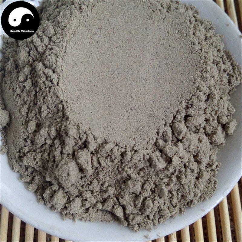 Shui Zhi 水蛭胶囊, Hirudin Capsule, Medicinal Leeches, Hirudo Medicinalis-Health Wisdom™