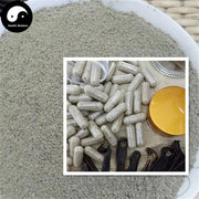 Shui Zhi 水蛭胶囊, Hirudin Capsule, Medicinal Leeches, Hirudo Medicinalis-Health Wisdom™