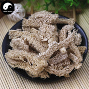 Si Gua Luo 絲瓜絡, Towel Gourd Vegetable Sponge, Retinervus Luffae Fructus-Health Wisdom™