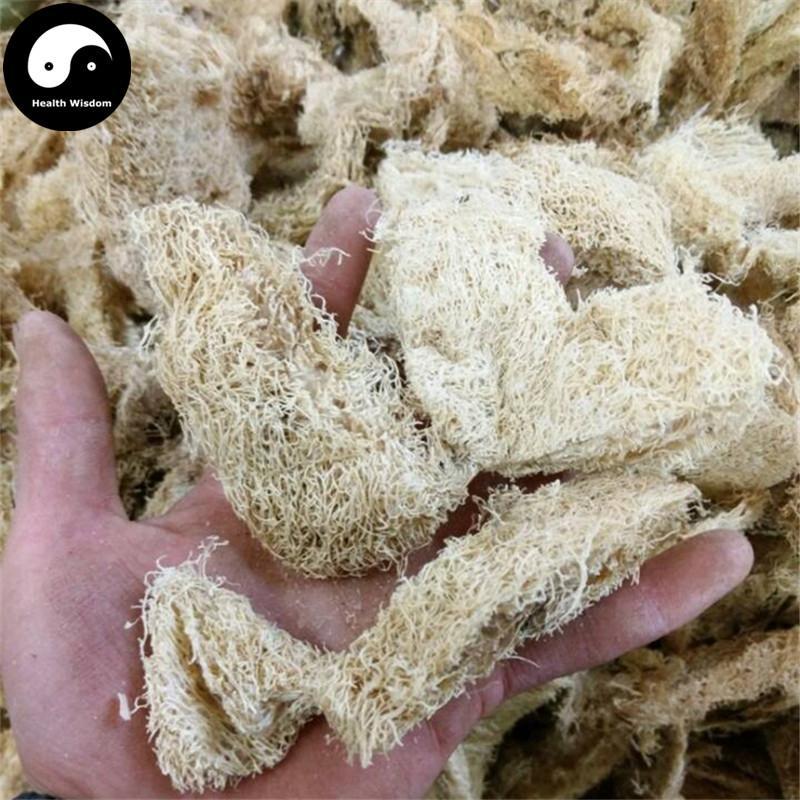 Si Gua Luo 絲瓜絡, Towel Gourd Vegetable Sponge, Retinervus Luffae Fructus-Health Wisdom™