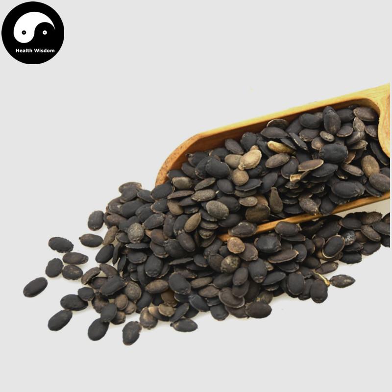 Si Gua Zi 絲瓜子, Luffa Seed, Wu Niu Zi-Health Wisdom™