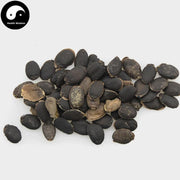 Si Gua Zi 絲瓜子, Luffa Seed, Wu Niu Zi-Health Wisdom™