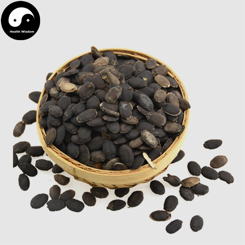 Si Gua Zi 絲瓜子, Luffa Seed, Wu Niu Zi-Health Wisdom™