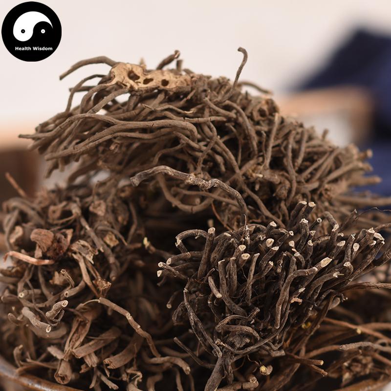 Si Kuai Wa 四块瓦, Rhizoma Et Radix Chloranthi, Chloranthus Henryi, Si Dui Ye-Health Wisdom™