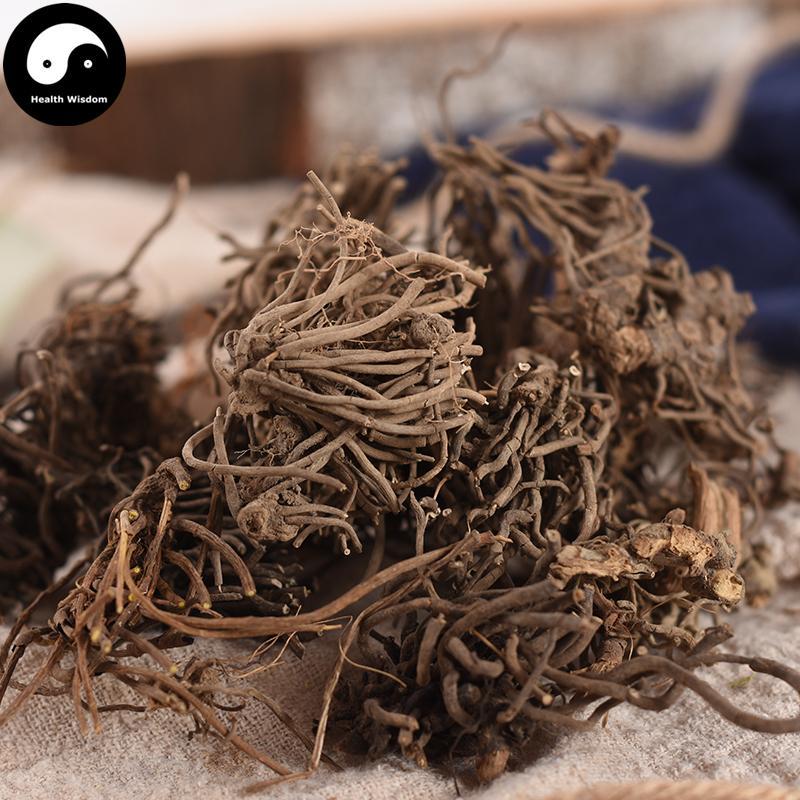 Si Kuai Wa 四块瓦, Rhizoma Et Radix Chloranthi, Chloranthus Henryi, Si Dui Ye-Health Wisdom™