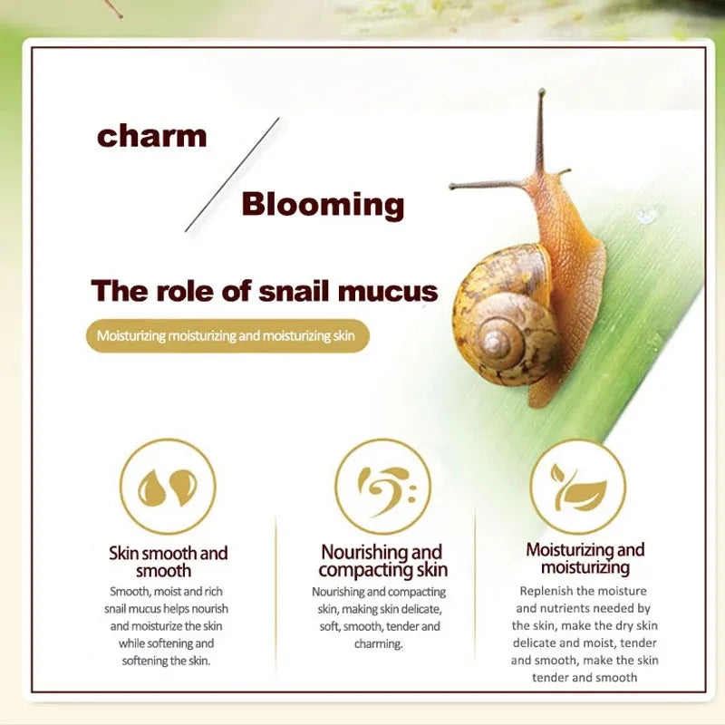 Skincare Set Snail Cream Collagen Cream Anti Aging Whiten Skin Face Cream Fade Dark Eye Circles Remove Eye Bags Eye Serum-Health Wisdom™