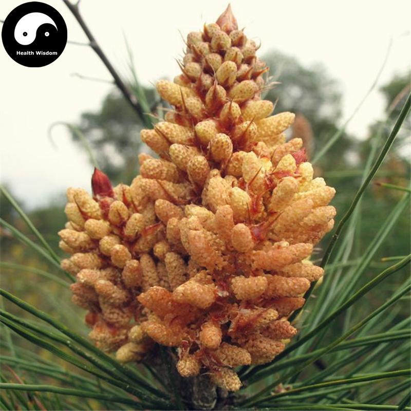 Song Hua Fen Pian 松花粉片, Pine Pollen Powder Tablets, Shell-broken Pine Pollen-Health Wisdom™