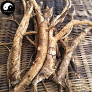 Song Mu Gen 楤木根, Radix Araliae Chinensis, Ying Bu Pu, Aralia Elegans Root-Health Wisdom™