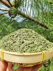 Song Ye 松葉, Pine Leaf Tea, Folium Pini, Song Zhen 松针, Song Mao-Health Wisdom™