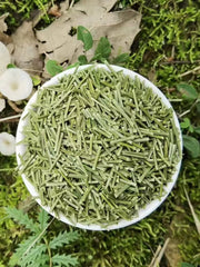Song Ye 松葉, Pine Leaf Tea, Folium Pini, Song Zhen 松针, Song Mao-Health Wisdom™