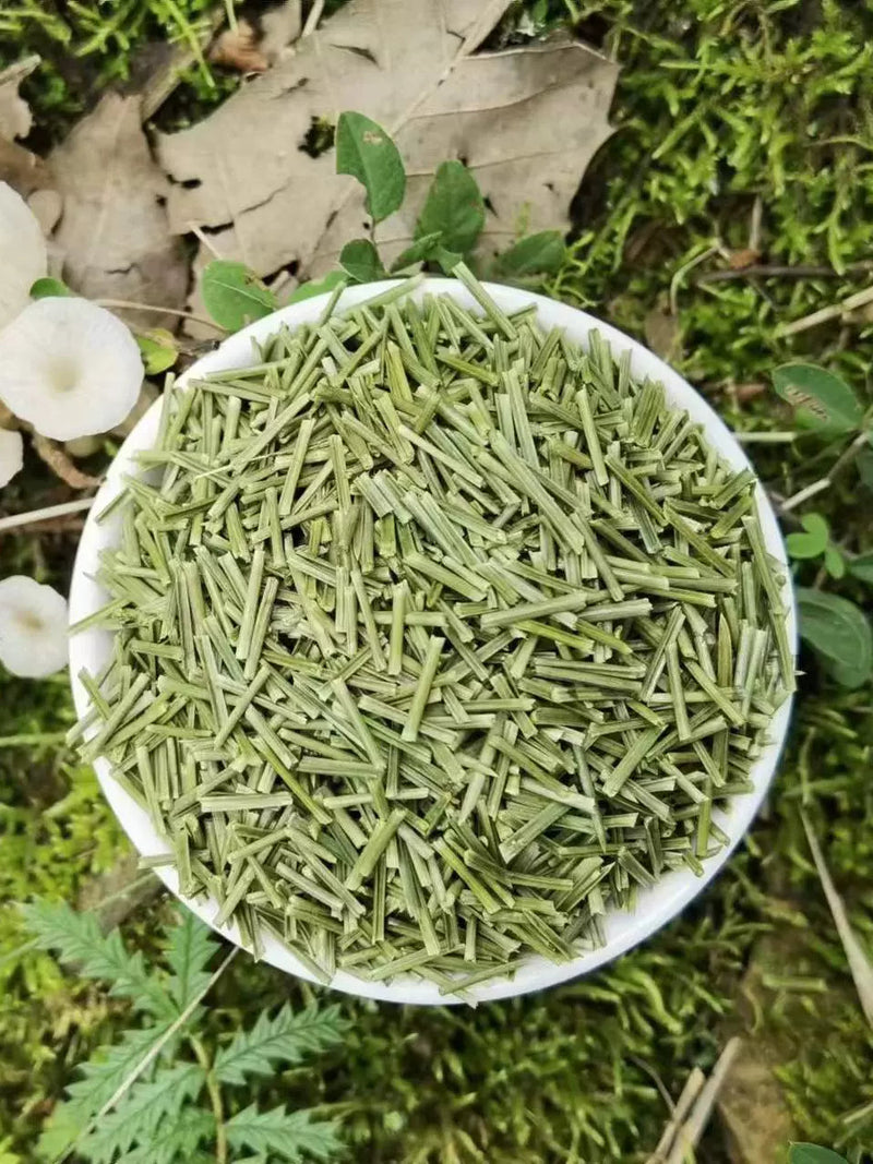 Song Ye 松葉, Pine Leaf Tea, Folium Pini, Song Zhen 松针, Song Mao-Health Wisdom™