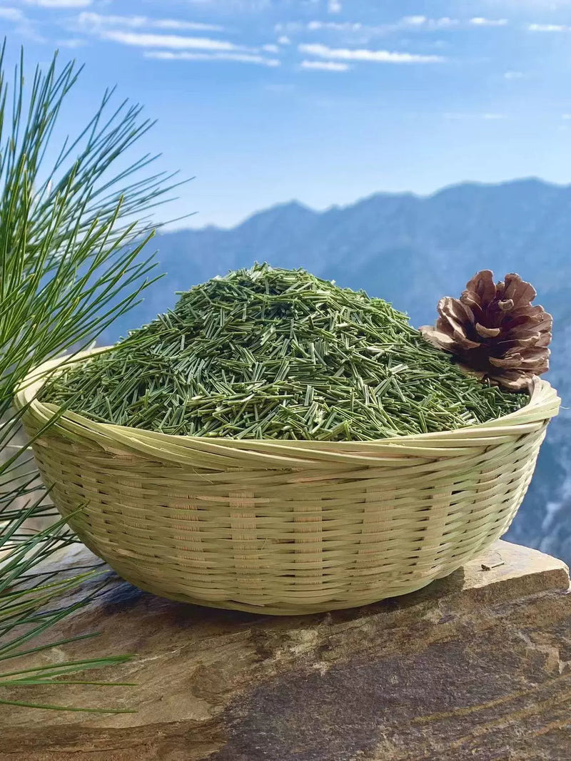 Song Ye 松葉, Pine Leaf Tea, Folium Pini, Song Zhen 松针, Song Mao-Health Wisdom™