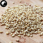 Song Zi Ren 松子仁, Pine Nut-Health Wisdom™