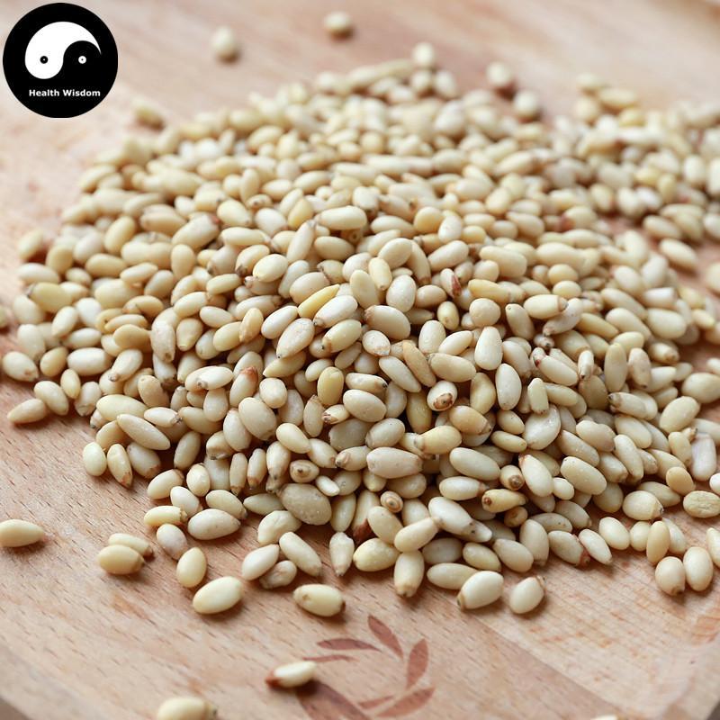 Song Zi Ren 松子仁, Pine Nut-Health Wisdom™